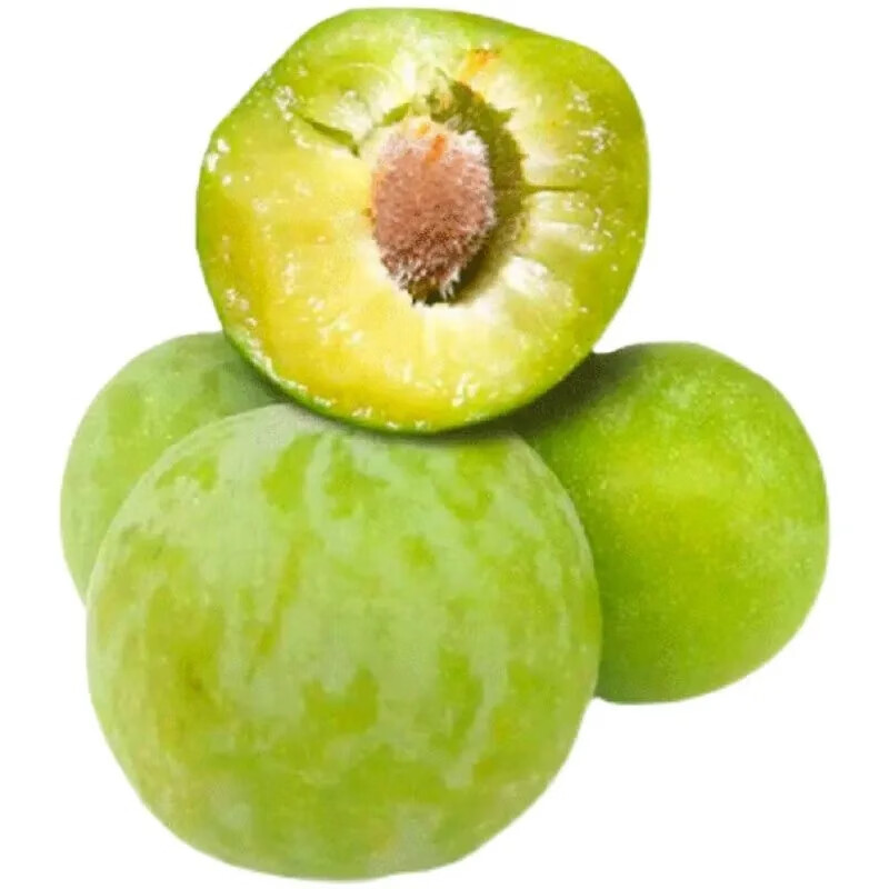 李子价格波动查询|李子价格走势