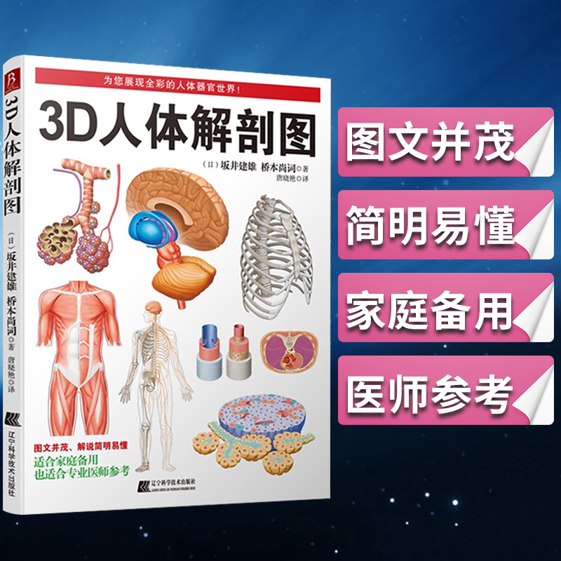 3d人体解剖图全彩图谱医学人体肌肉解剖运动解剖学断层局部解剖学图谱