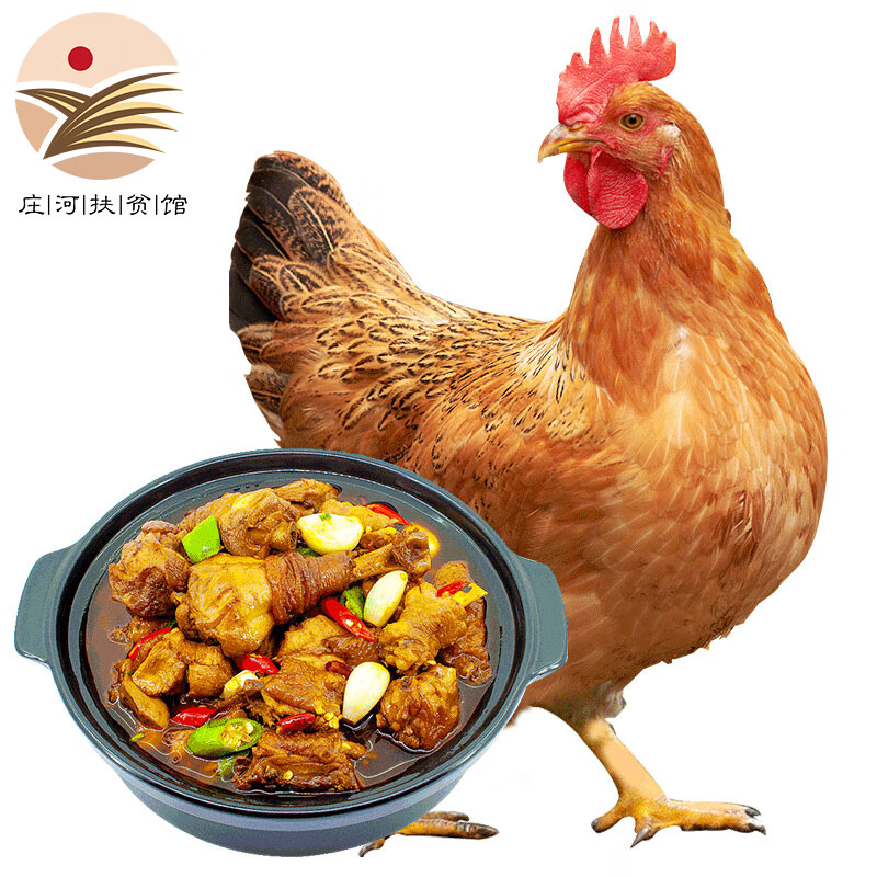 松滋鸡农家散养生态土鸡走地鸡肉生鲜冻鲜鸡 整只净膛 活力弹1kg 散养