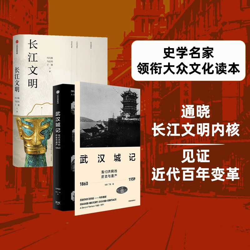 长江文明+武汉城记（套装2册） 许颖 丁援 等著 中信出版社