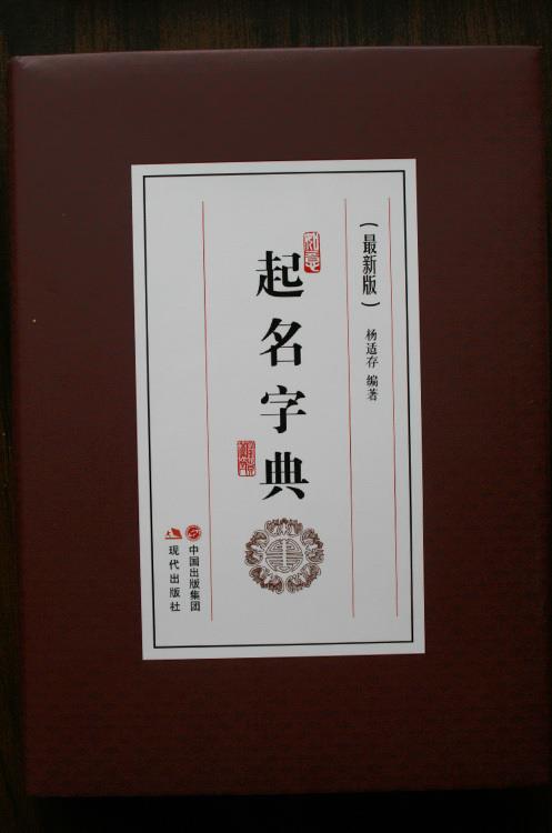 起名字典 杨适存 著【正版书】
