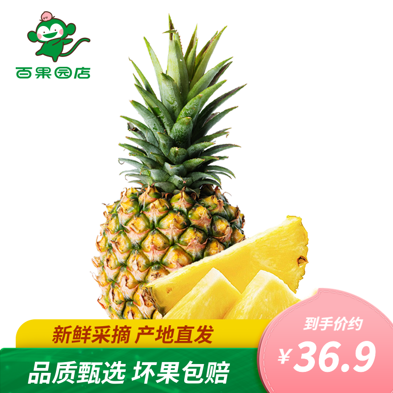 菠萝凤梨历史价格查询工具|菠萝凤梨价格走势图
