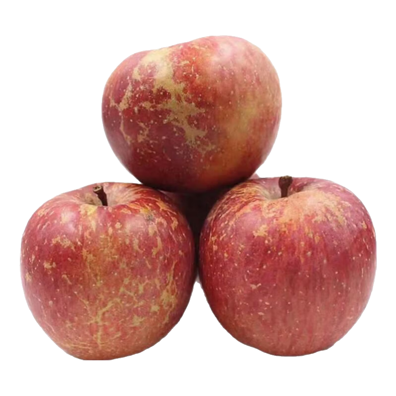 【盐源助农馆】盐源苹果高山老树果大凉山丑苹果2025水果礼盒 礼盒15枚至尊果90mm+ 净重8.5斤+