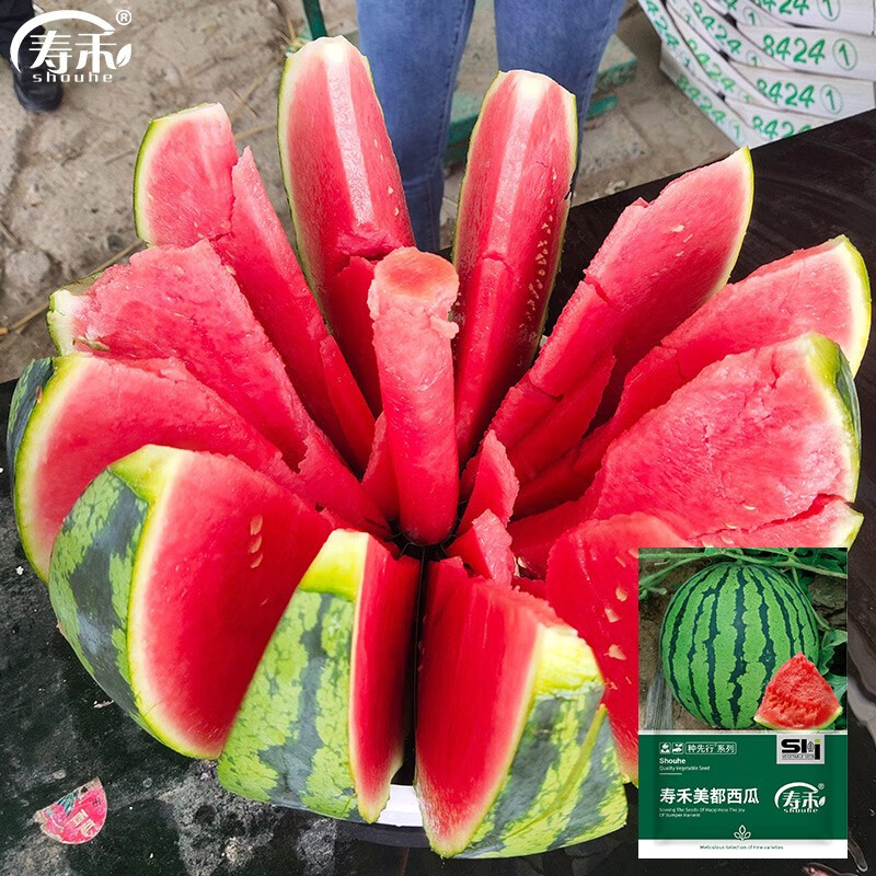 寿禾 西瓜种子多品种南方美都无籽早熟晚熟甜王巨型特大春冬季四季