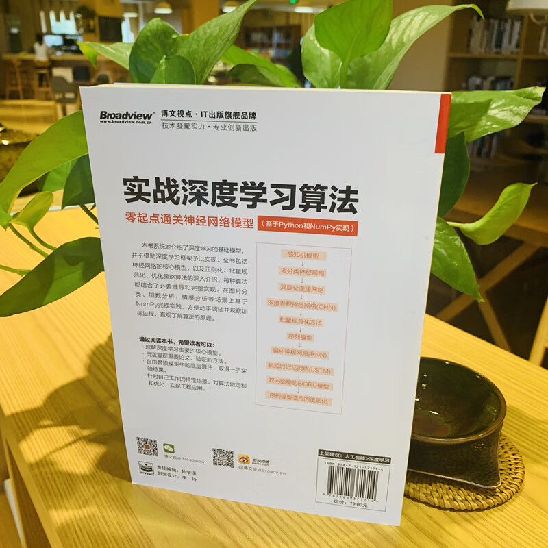实战深度学习算法:零起点通关神经网络模型(基于Python和NumPy实现)(博文视点出品)详情图