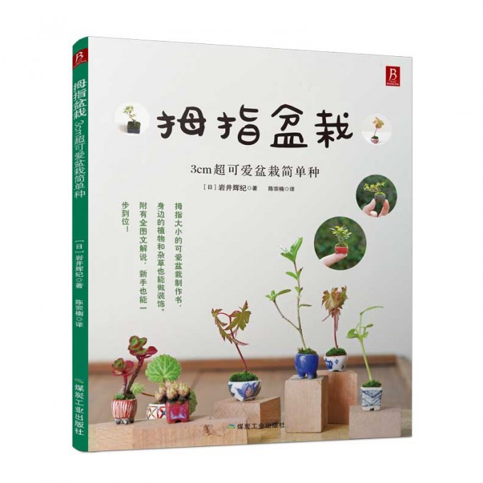 拇指盆栽(3cm超可爱盆栽简单种)