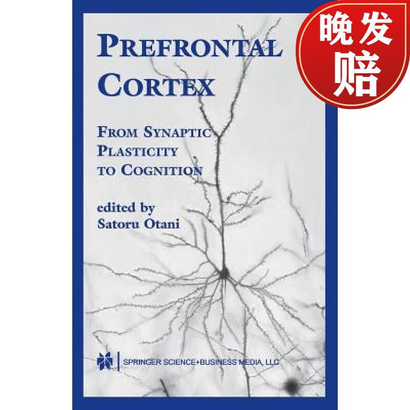 【4周达】prefrontal cortex : from synaptic plasticity to
