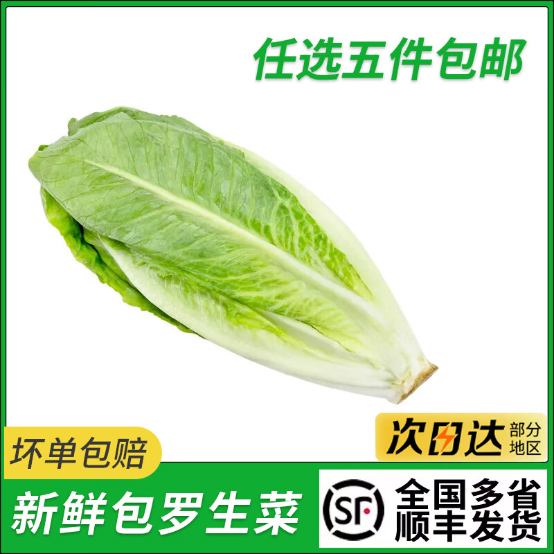 新鲜包罗生菜包心罗纹包心罗马蔬菜沙拉生菜绿色西餐沙拉轻食一斤 250