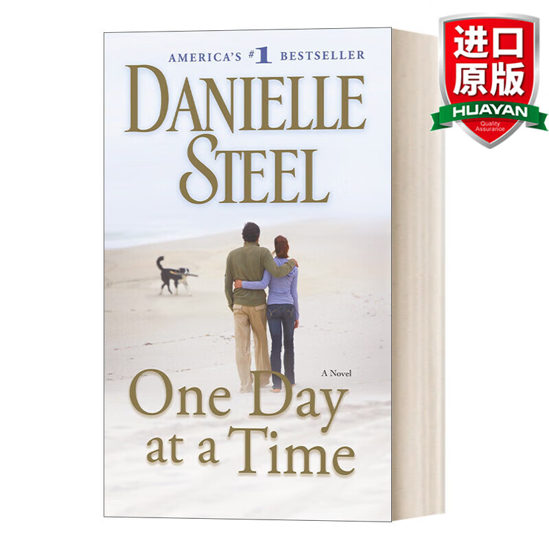 one day at a time a novel 英文原版小说 活在当下 纽约时报畅销书