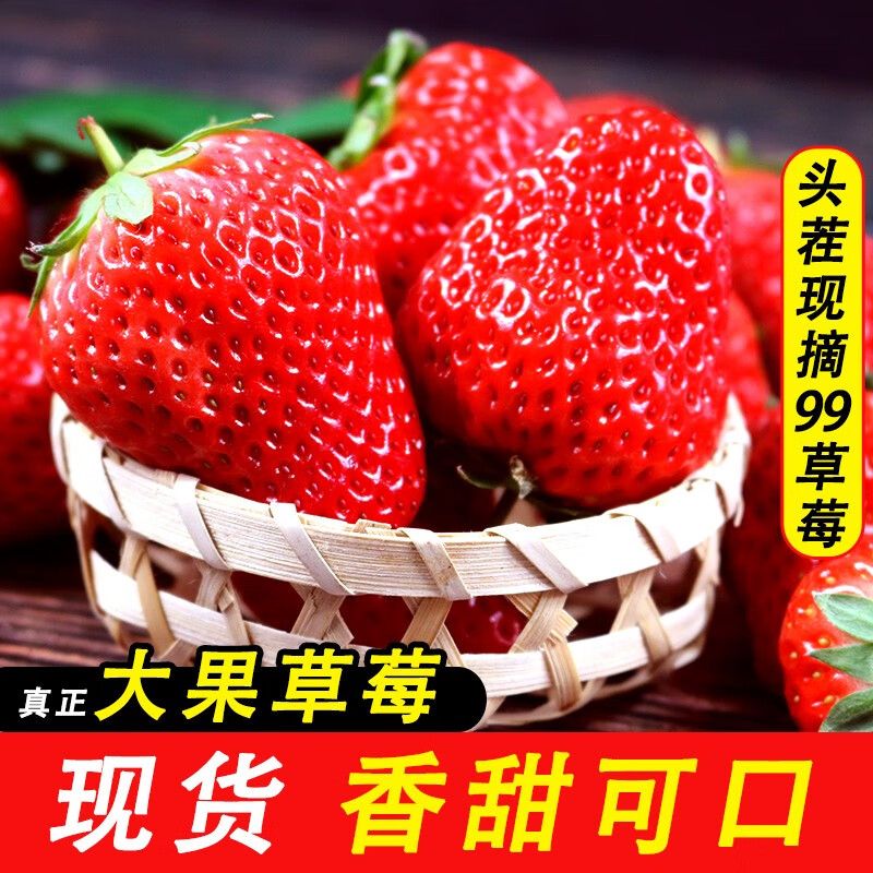 鲜姿丹东99红颜奶油大草莓新鲜水果孕妇水果礼盒 九九牛奶油草莓 生鲜 3斤推荐装（单果20-30g)