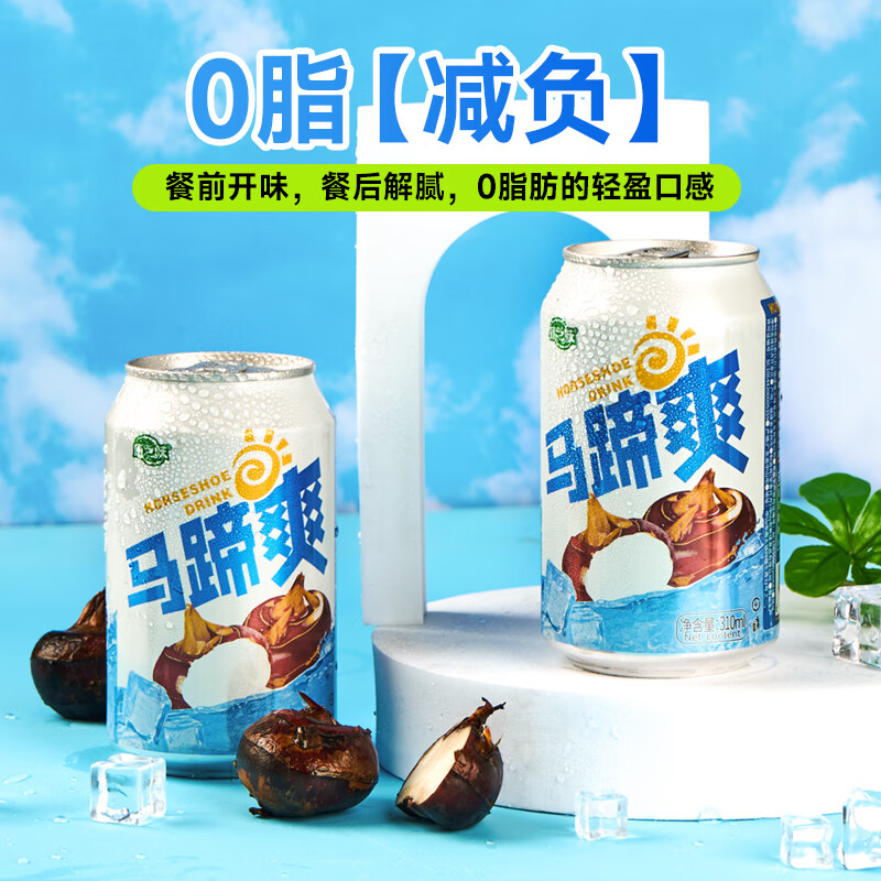 康之味马蹄爽送礼0添加真实荸荠果肉果味聚会饮料果汁 马蹄爽310ml*6听