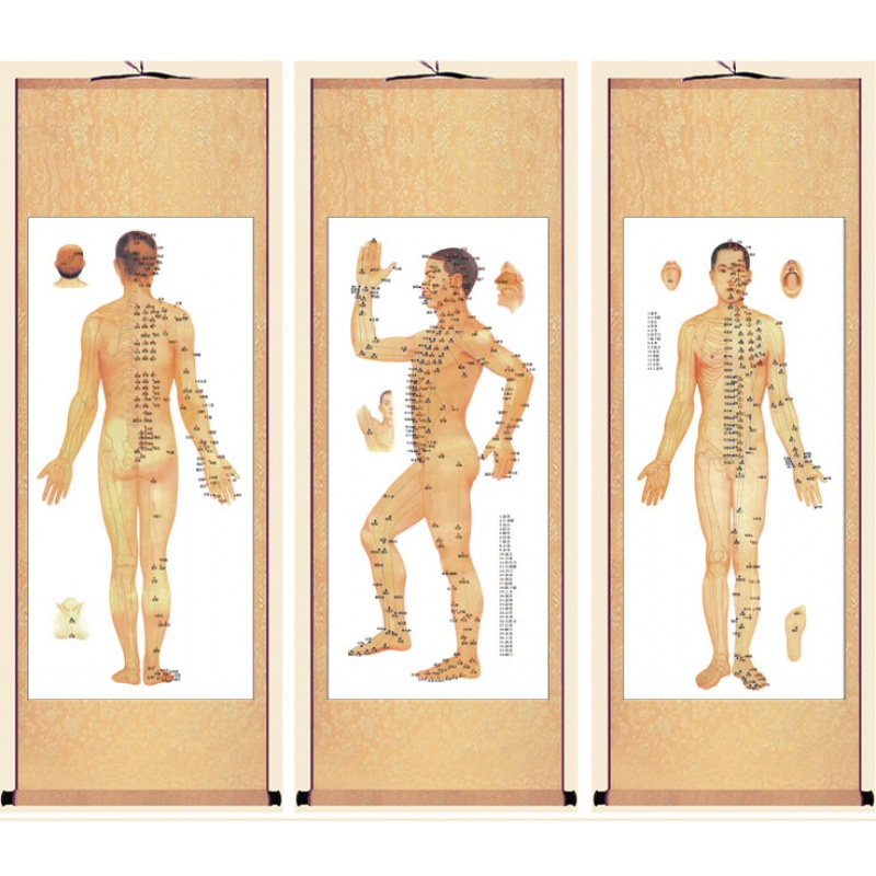 唯利多嘉宴新款穴位图人体经络穴位图中医养生美容院诊所装饰画针灸