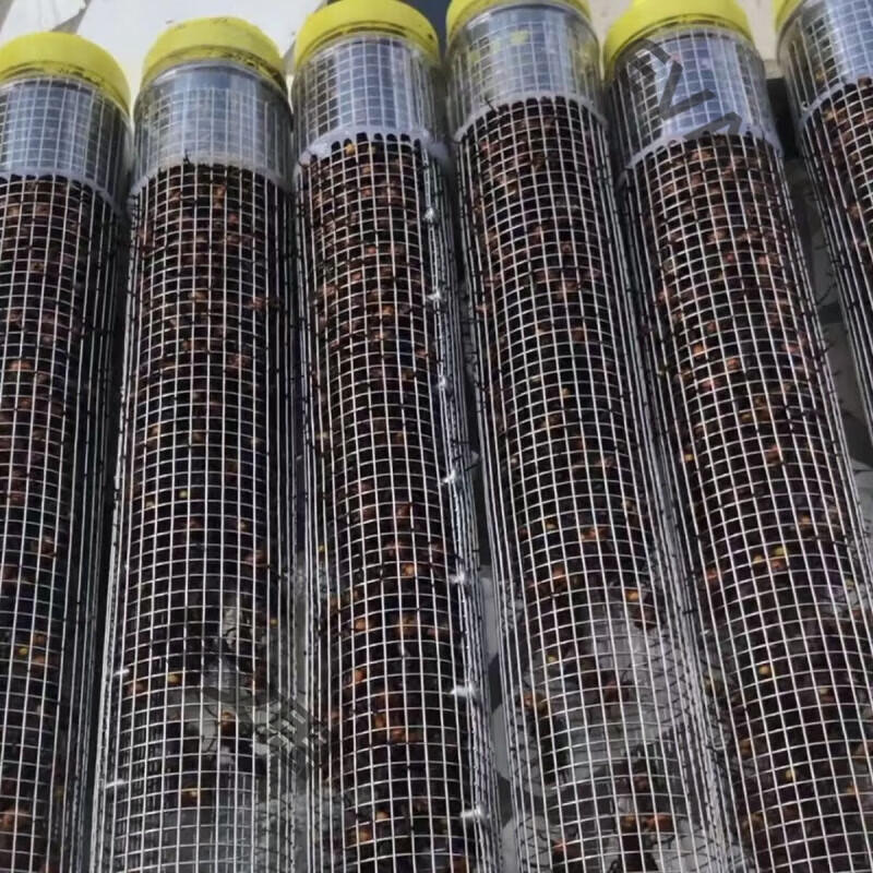 收蜂笼马蜂收蜂笼收蜂袋地蜂笼加厚诱蜂神器捉捕金环黑尾胡蜂虎头 收