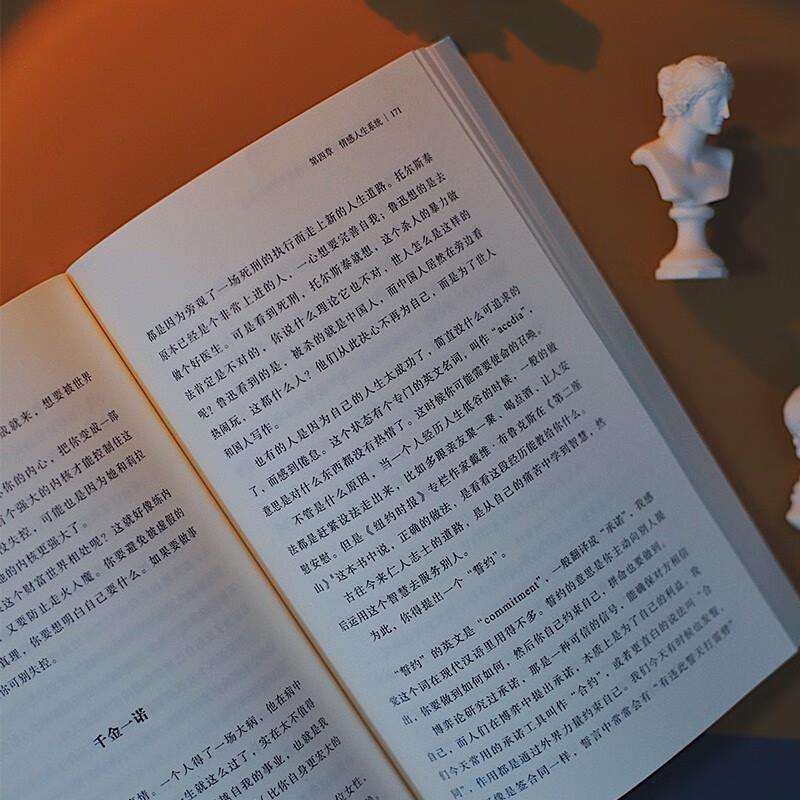 佛畏系统：用系统思维全面提升你的决策力（“中国好书”“文津图书奖”得主万维钢年度力作）得到图书