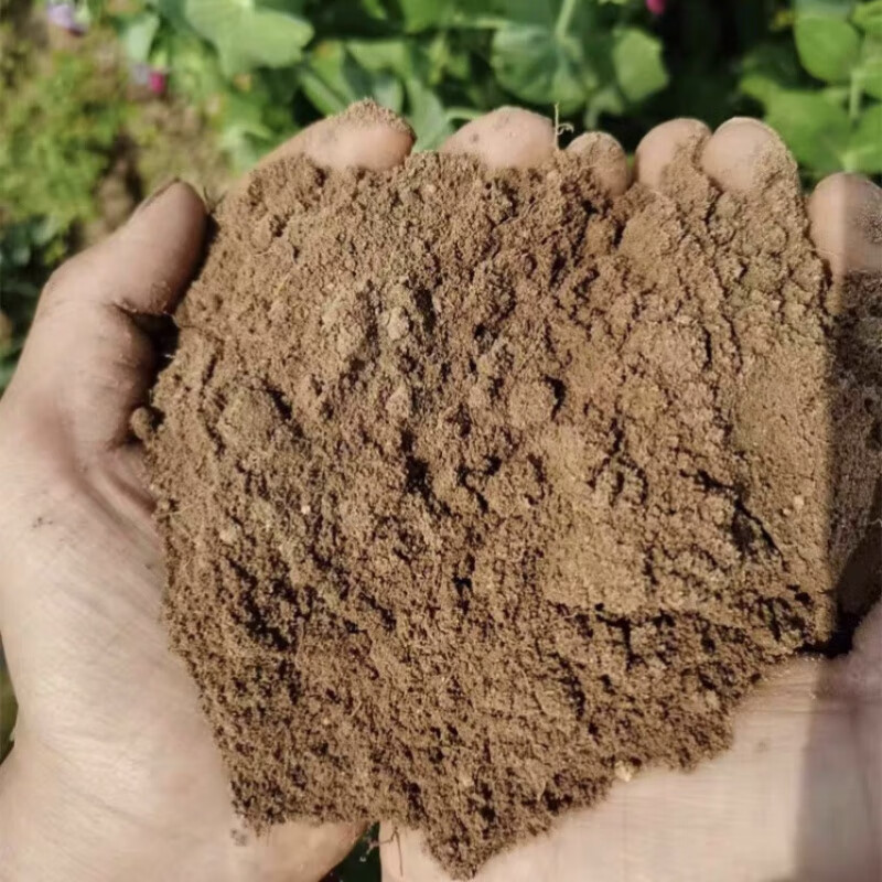 天然沙土沙壤土种菜养花盆栽花卉专用种植土细沙土壤通用田园土 5斤