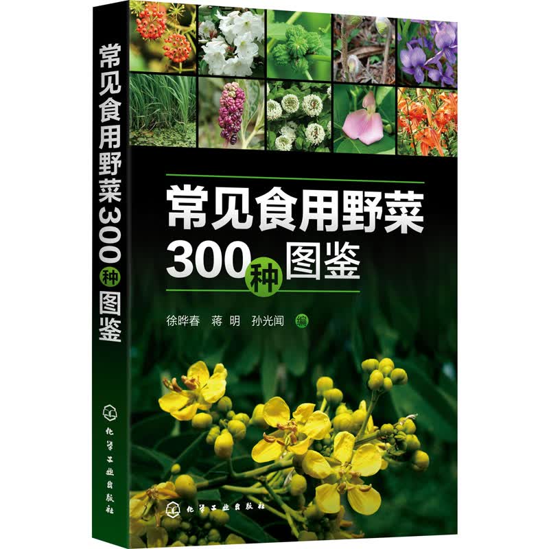 常见食用野菜300种图鉴 徐晔春,蒋明,孙光闻 编 书籍