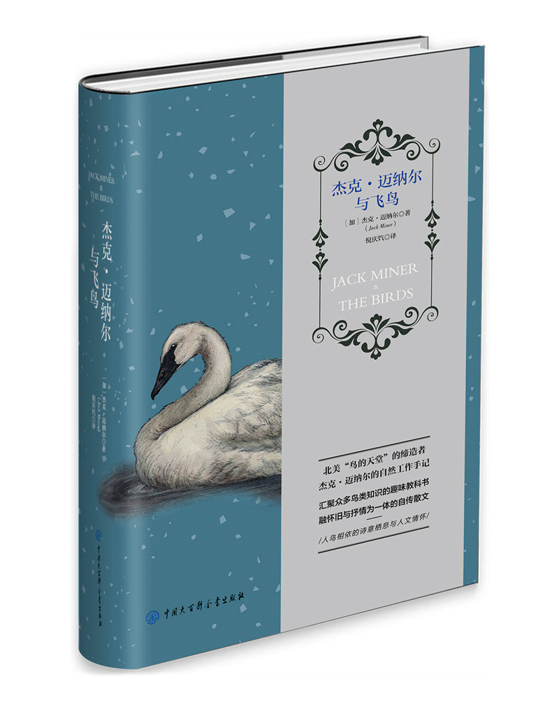 杰克·迈纳尔与飞鸟