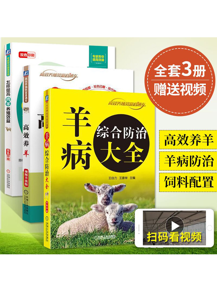 3册 羊病综合防治大全 高效养羊视频 怎样提高肉羊养殖效益 养羊技术
