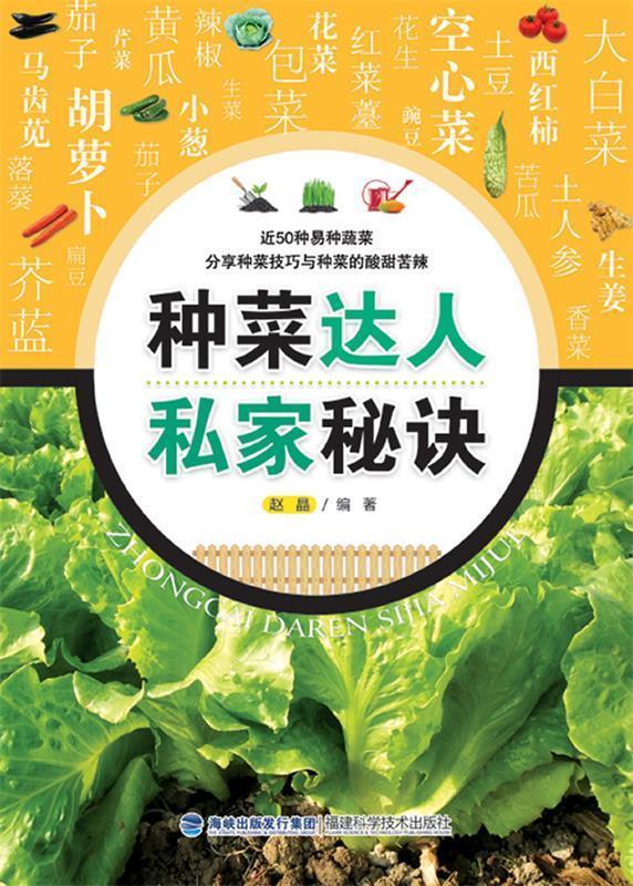 种菜达人私家秘诀 赵晶【正版书】