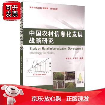 中国农村信息化发展战略研究