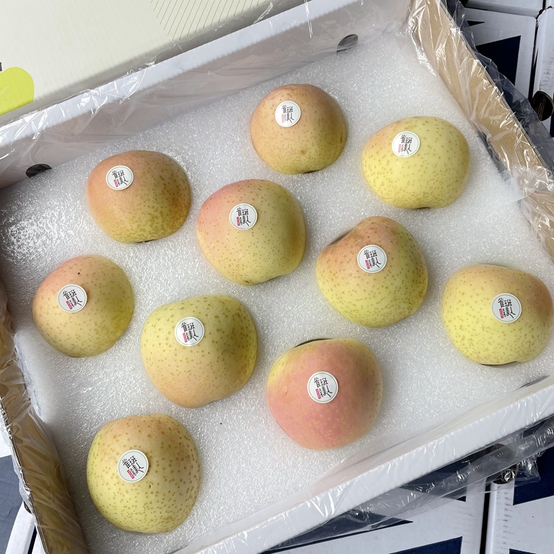 日本王林苹果礼盒装 新鲜雀斑美人苹酥脆甜 当季水果苹果青森水蜜纯甜