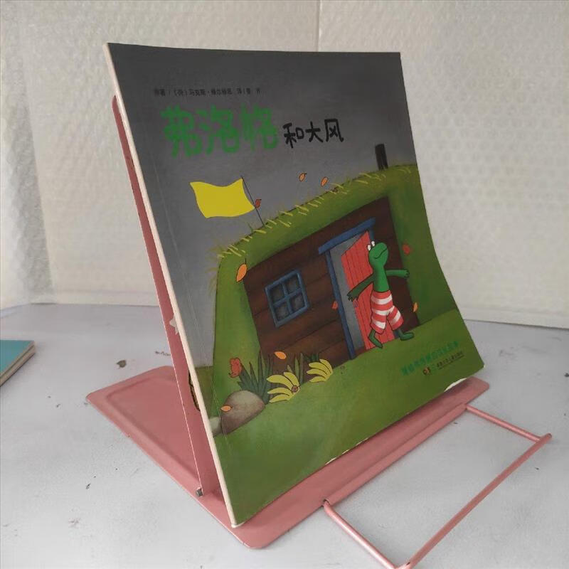 9成新二手书 弗洛格和大风 /[荷兰]马克斯·维尔修思 湖南少年儿