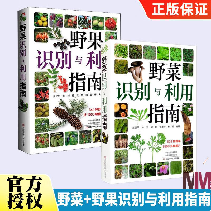 野菜识别与利用指南+野果识别与利用指南 全2册 常见野菜野果野外识别速查图鉴植物分类生长性野菜野果的食用方法野菜高性价比高么？