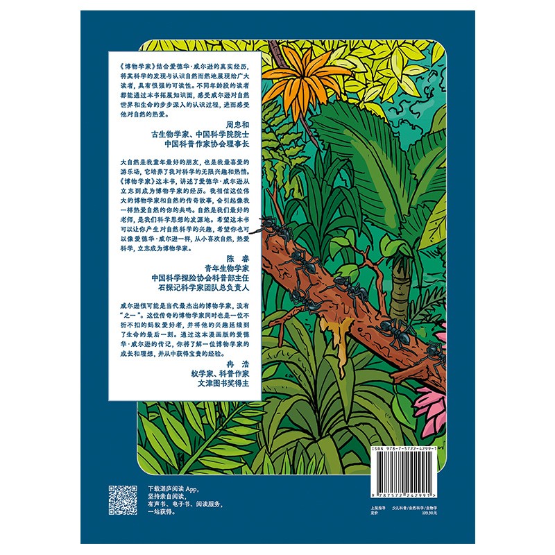 博物学家（漫画珍藏版）誉为“当代达尔文”爱德华威尔逊 作品 让孩子像科学家一样探索和思考 儿童科普漫画 湛庐图书童书节儿童节暑假阅读暑假课外书课外暑假自主阅读暑期假期读物详情图