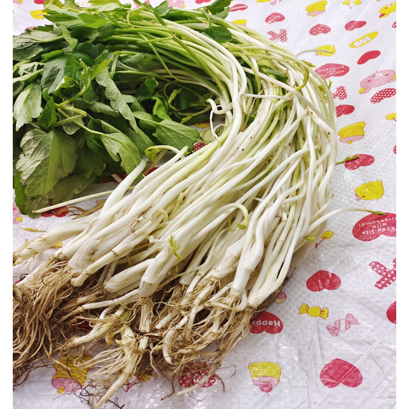壹果万麦安徽无为特产芹芽白芹水芹菜当季新鲜嫩现挖芜湖农家芹牙蔬菜