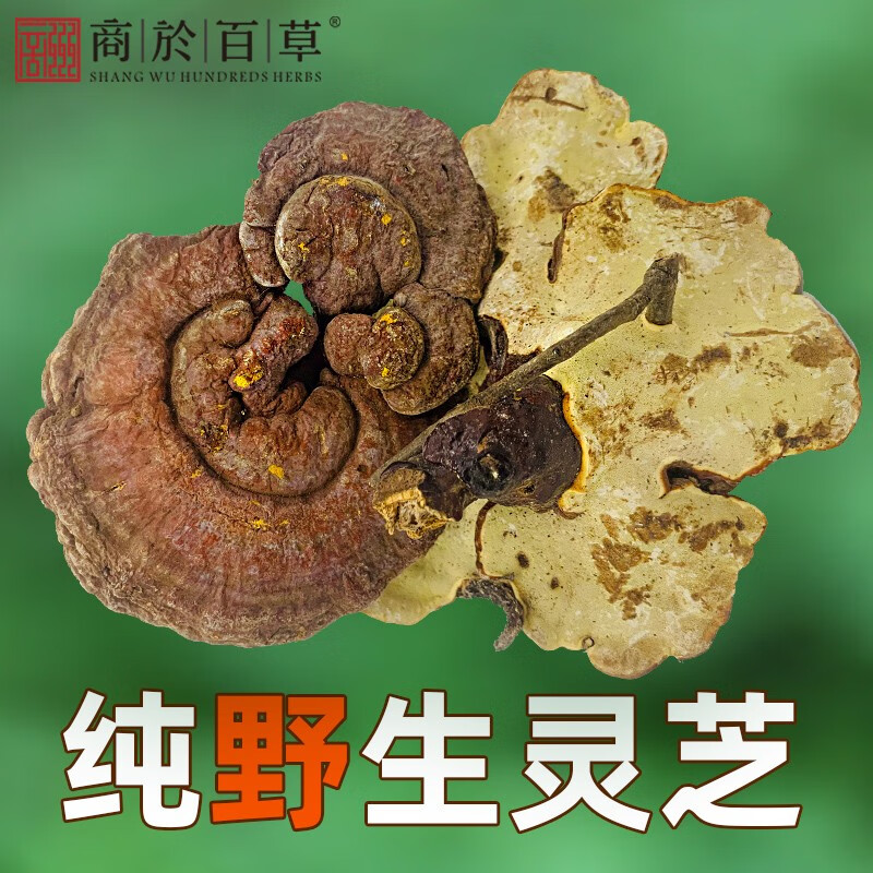 野生灵芝干货 正品整颗整只灵芝秦岭血灵芝泡酒煲汤 礼盒装250g 野生