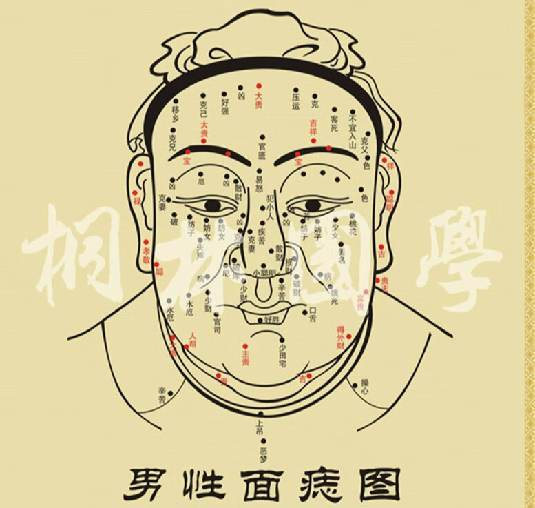 创京懿选面痣图 面相图 男女面痣图 男面痣图 美容院装饰画260 男面痣