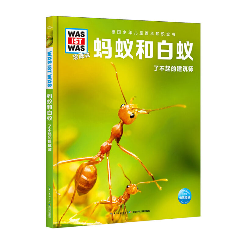 蚂蚁和白蚁