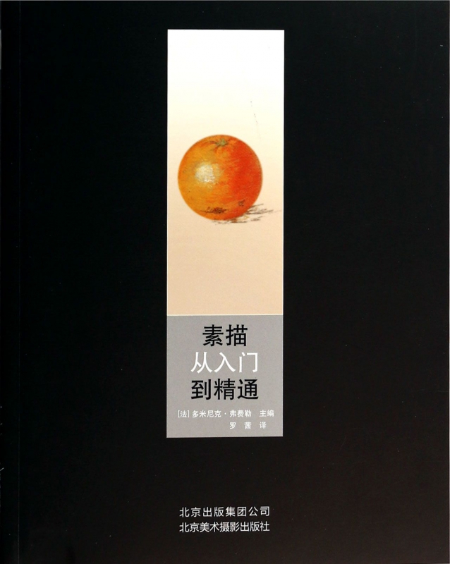 素描从入门到精通