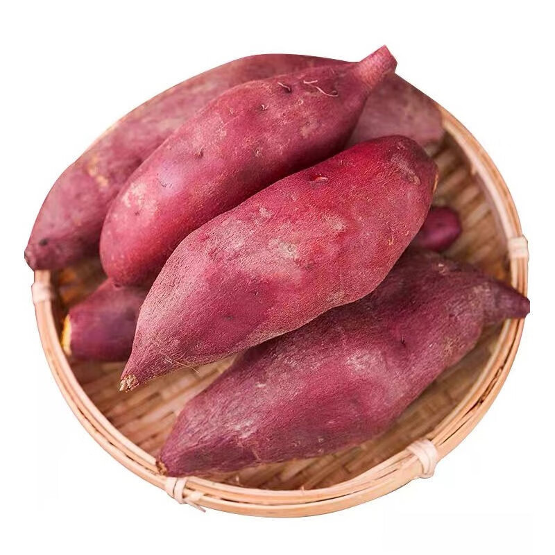 红薯种类图片及名称图片