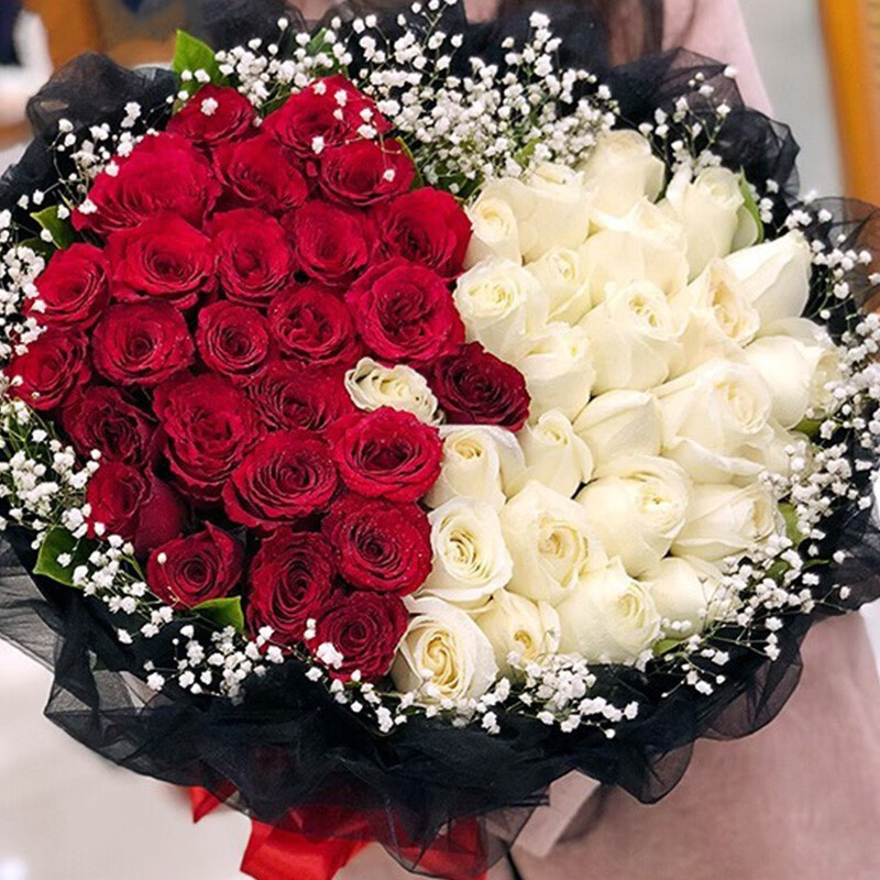 朵红玫瑰鲜花束同城配送女朋友老婆生日花束表白礼物 经典双色·52