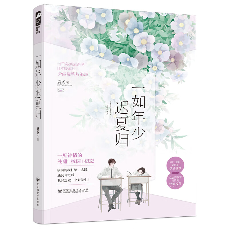 一如年少迟夏归