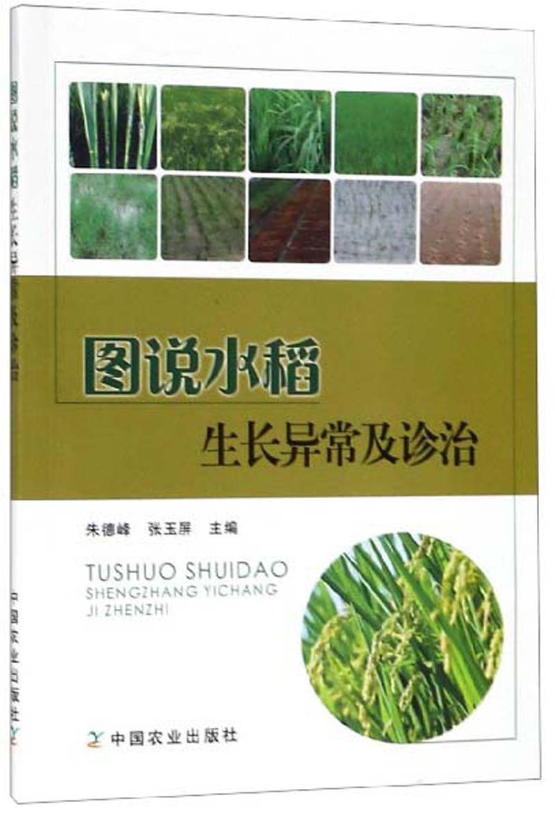 图说水稻生长异常及诊治