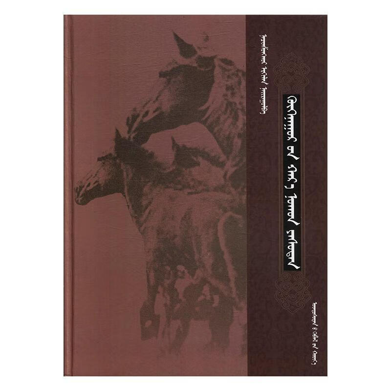 青海哈日瑙恒雅斯腾:蒙古文那青雄呼尔民族出版社9787105156689/传记书籍