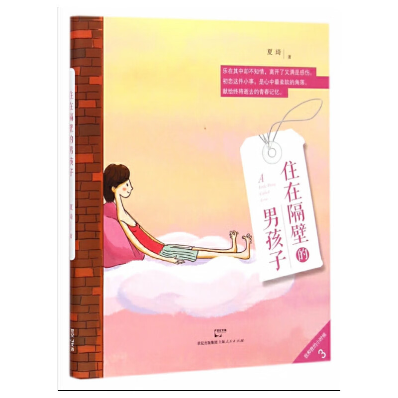 住在隔壁的男孩子