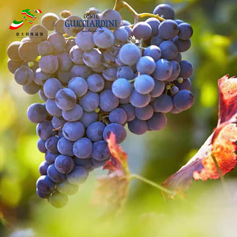 PUNI皮安诺城堡塞拉干红葡萄酒意大利原瓶进口红葡萄酒750ml