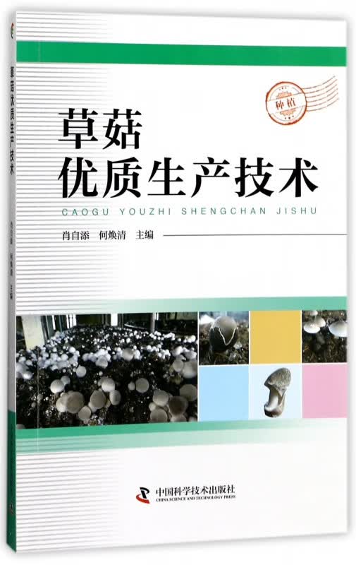 草菇优质生产技术