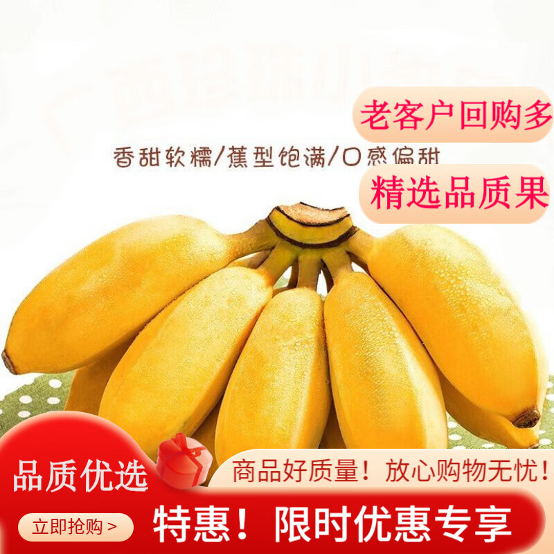 鲜青录小米蕉新鲜10水果糯米蕉甜小香蕉当季整箱热带广西小米蕉 1500g