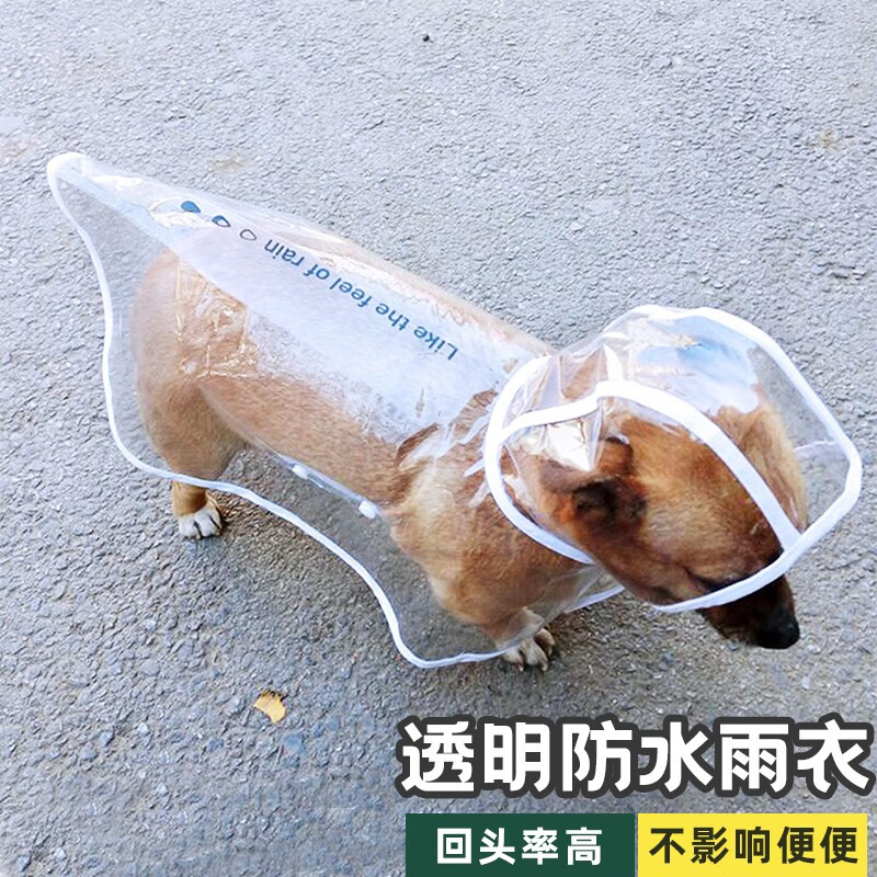 狗狗雨衣泰迪柴犬小型犬中型犬雨披小狗全包柯基防水雨天宠物衣服江哲白边透明雨衣xs 胸围32 35cm 虎窝购