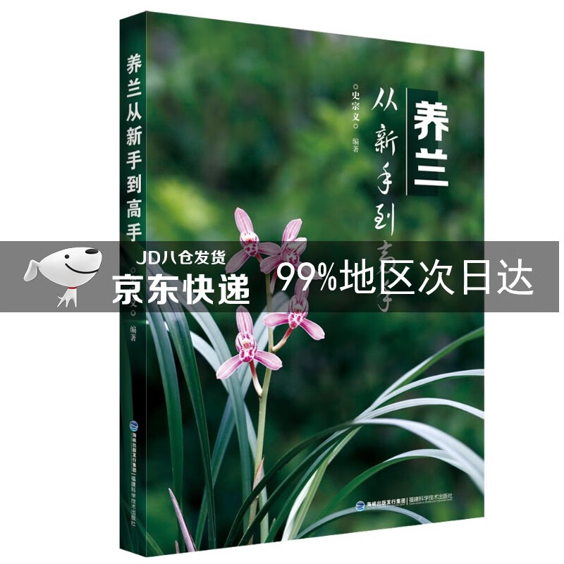 养兰从新手到高手