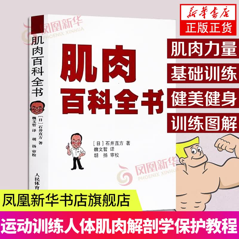 肌肉百科全书