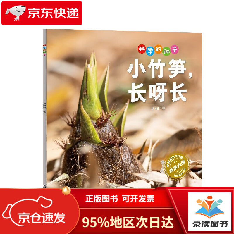 科学的种子:小竹笋,长呀长3