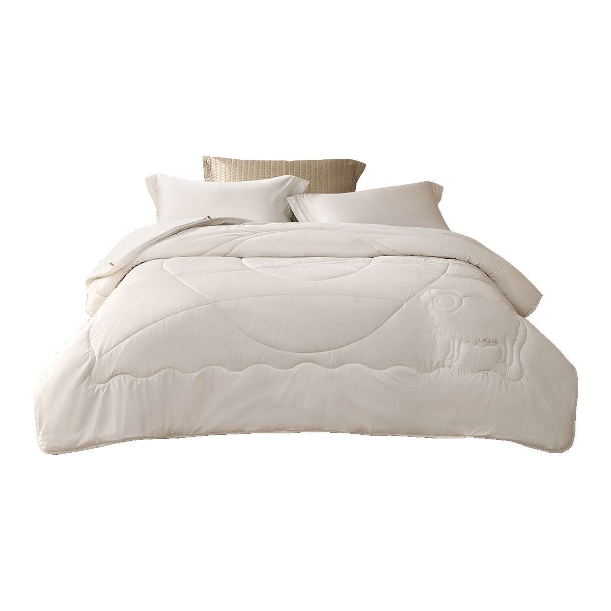 �����ҷ� ��ë���� 60֧ȫ��100%��ë��о A�࿹����ů���� Լ6��