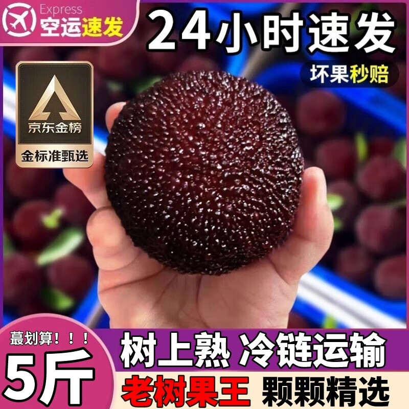 沐小七果蔬【顺丰礼盒-多地隔日达】云南石屏东魁新鲜杨梅整箱5斤装新鲜水果 半斤试吃装【运送费贵不推荐】 20年树龄果属于什么档次?