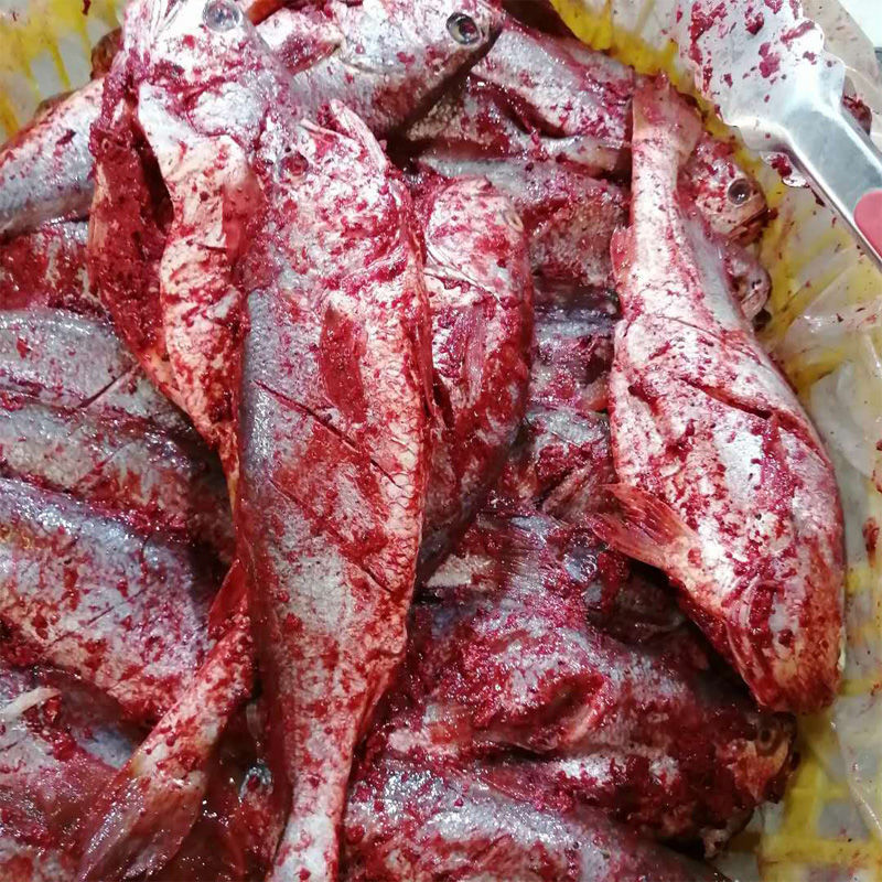 霞浦新鲜酒糟大黄鱼红糟鱼腌制黄瓜鱼醉香醇香黄梅鱼免洗酒店食材 2条