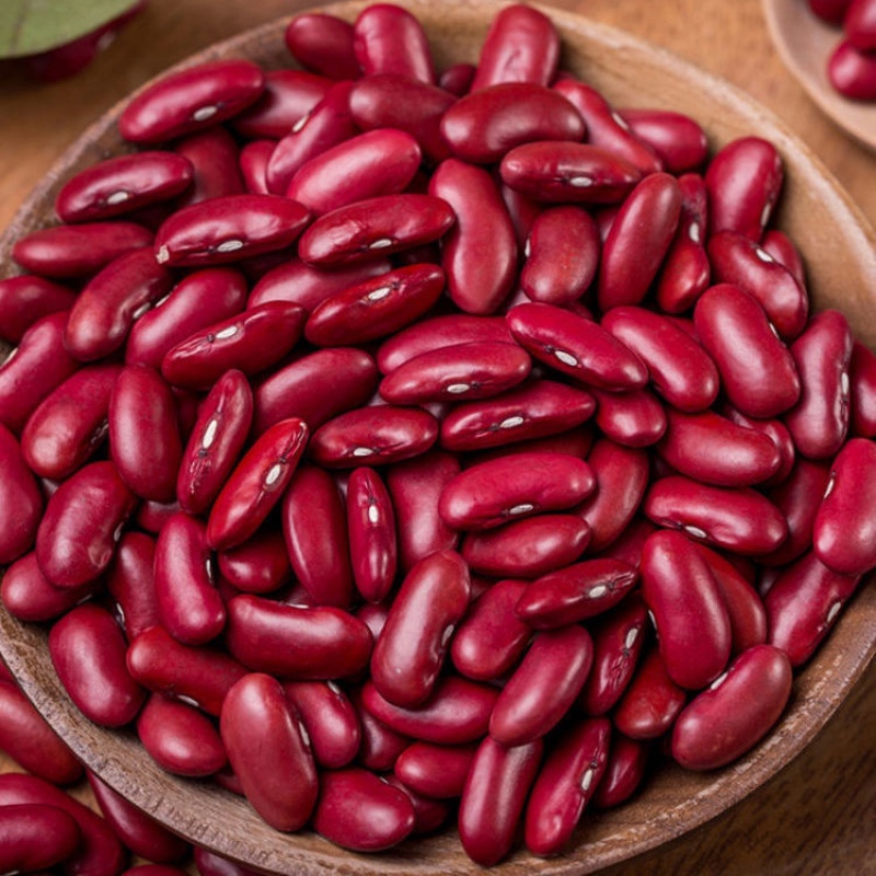 维霆云南老品种大红豆红腰豆红芸豆红豆豆类五谷杂粮新货农家自种